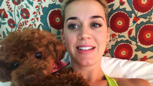 Katy Perry è in diretta per tutto il weekend su YouTube: eccola mentre dorme, si lava, mangia e promuove il nuovo album (VIDEO)