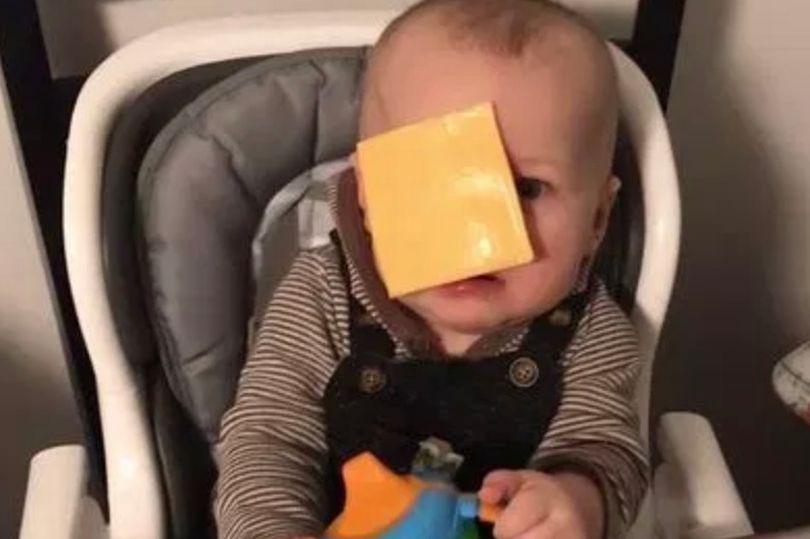 Cheese Challenge