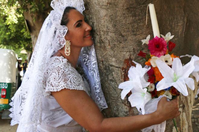 donna sposa albero messico