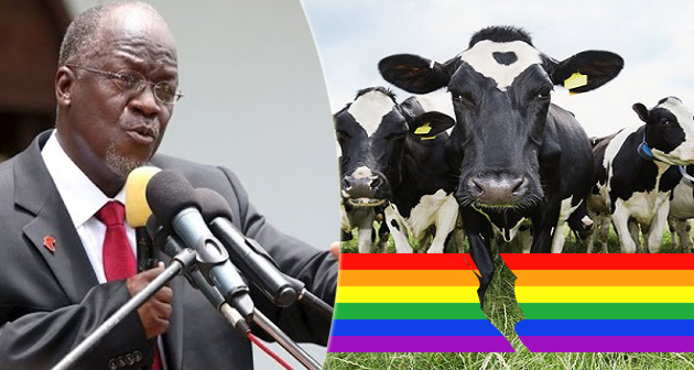 "I gay non sono naturali, anche le vacche sono contro l'omosessualità": lo afferma il Presidente della Tanzania