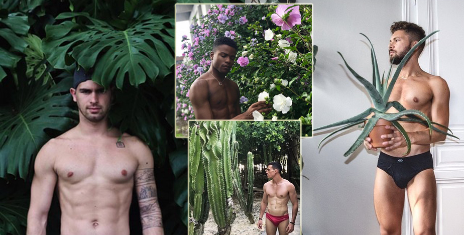 Boys With Plants